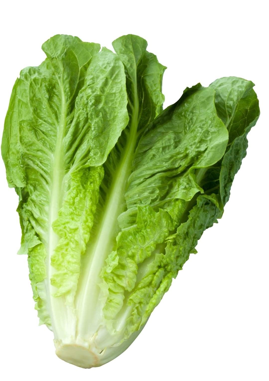 Romaine Lettuce 1pc