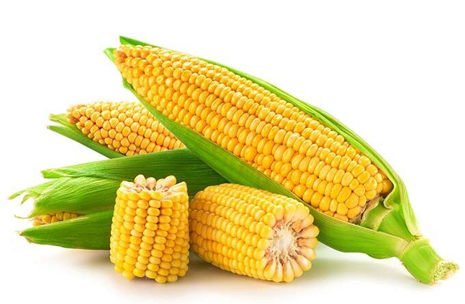 Corn 1kg