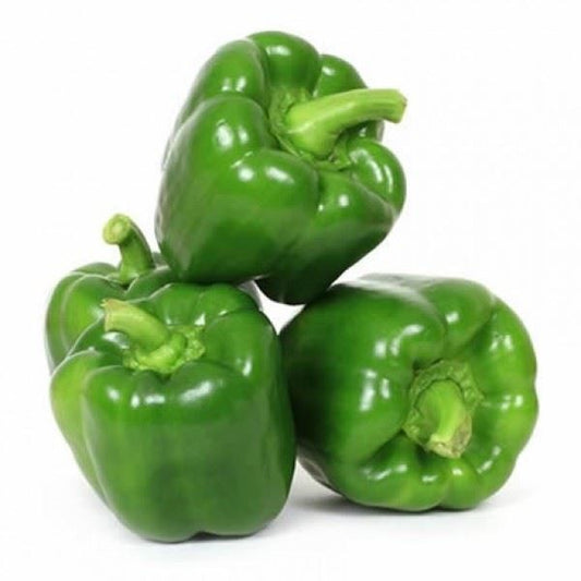 Green Pepper 0.5kg