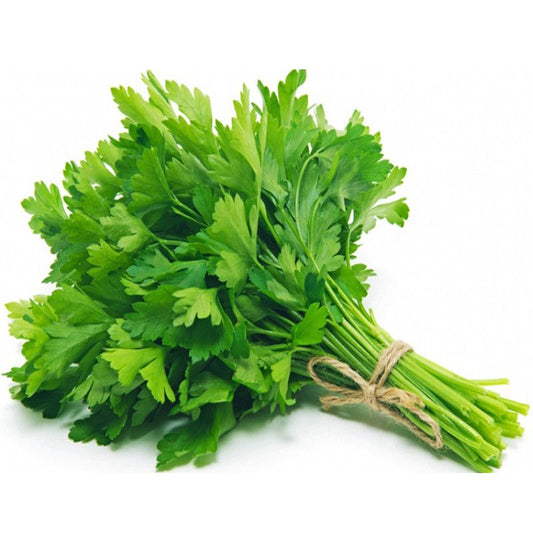 Parsley 1pc