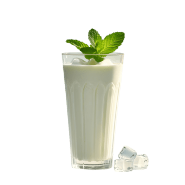 Laban Ayran 250ml