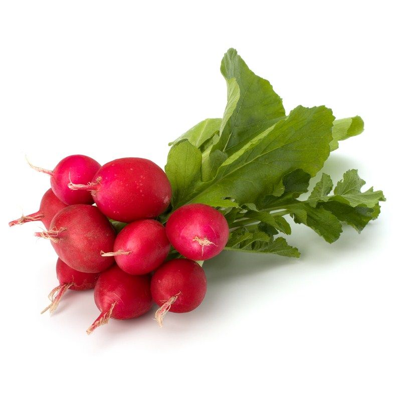 Radish 1pc