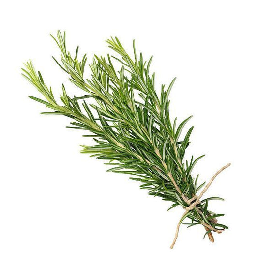Rosemary 1pc