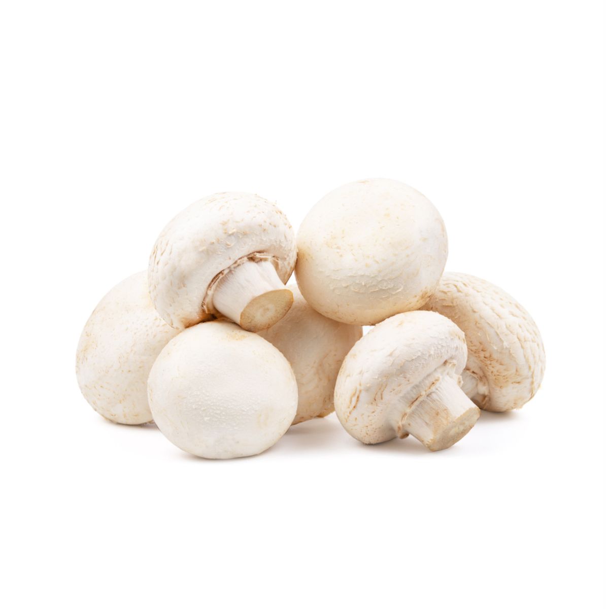 White Mushroom 200gr
